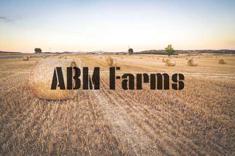 A B M Farms photo