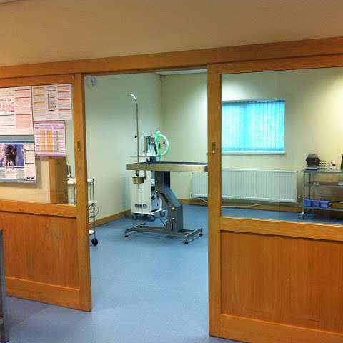 Darlington Vet Clinic Ltd photo